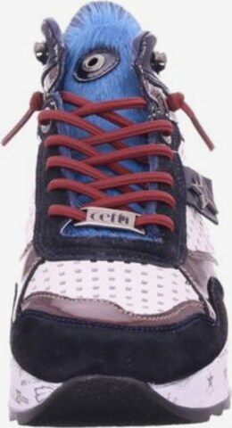 Cetti High-Top Sneakers in Mixed colors