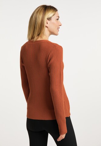 Usha Pullover in Rot