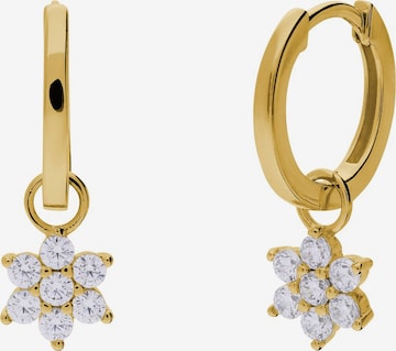 Boucles d'oreilles Lucardi en or : devant