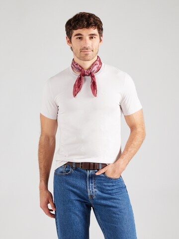 Maglietta di HOLLISTER in lilla: frontale