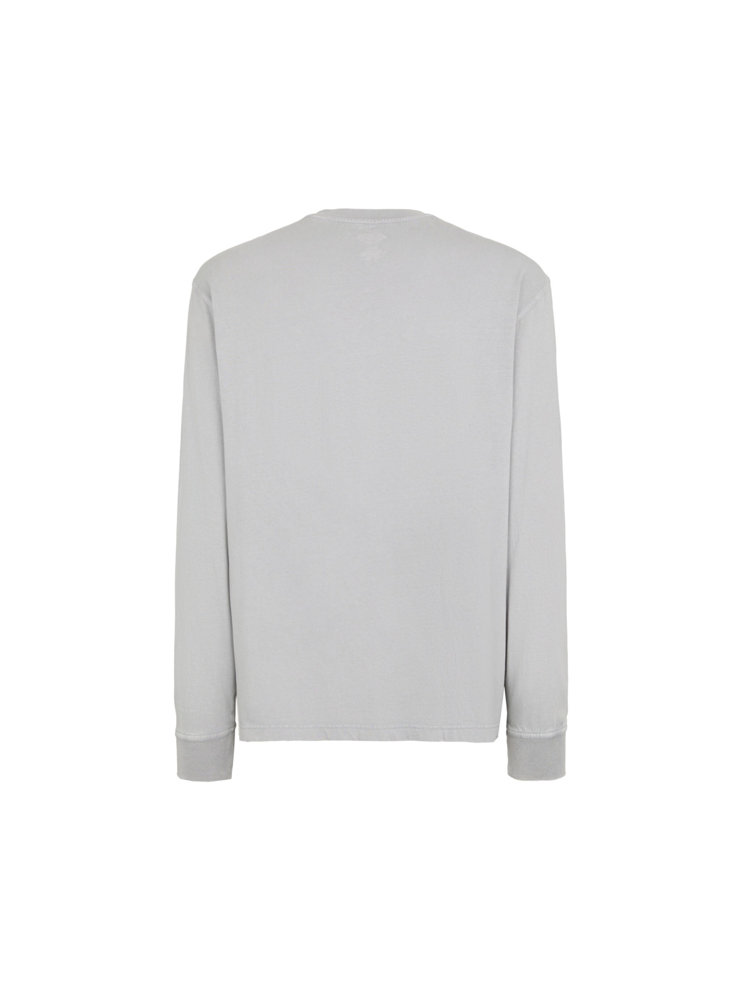 DICKIES Μπλουζάκι 'PLENTYWOOD' σε γκρι