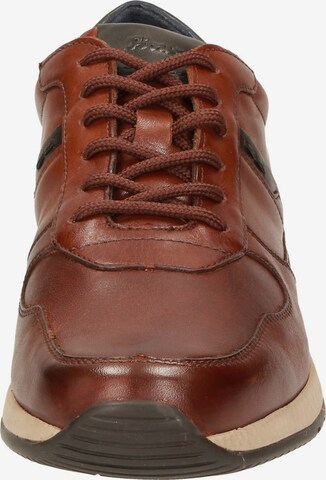 SIOUX Sneakers 'Rojaro-700' in Brown