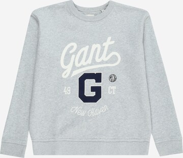 GANT Sweatshirt i grå: forside