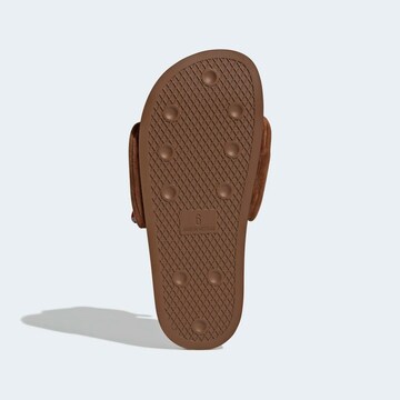 ADIDAS ORIGINALS Mules in Brown