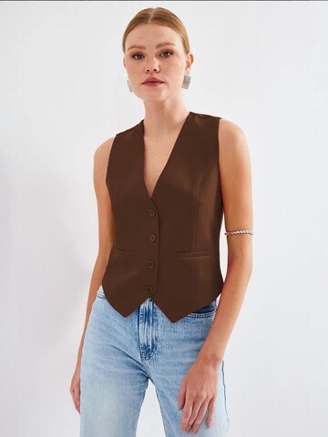 Bigdart Bodywarmer in Bruin