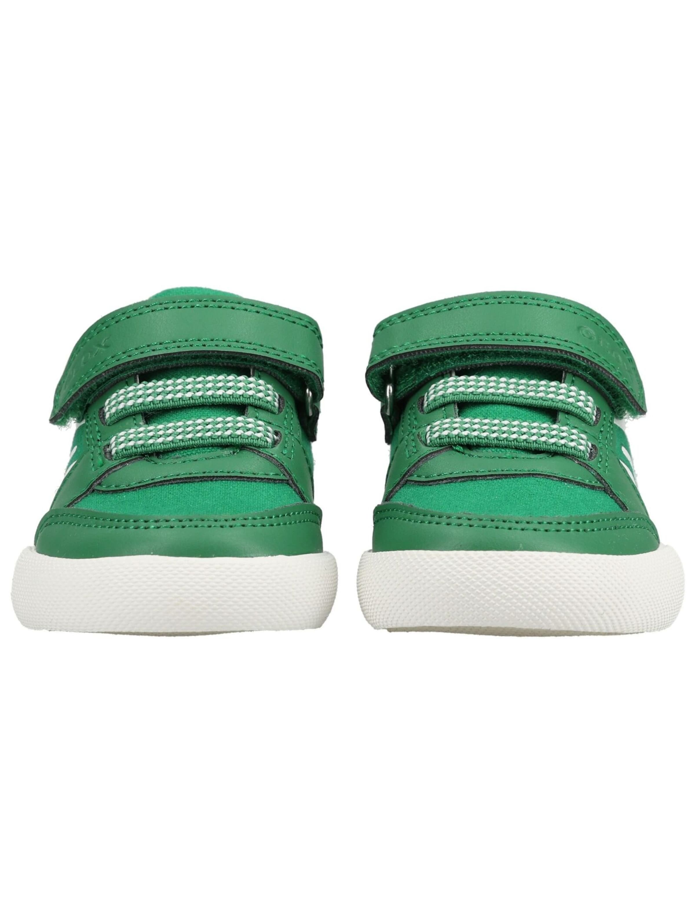 Baskets GEOX en vert