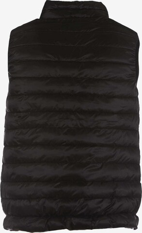 Champion Authentic Athletic Apparel Bodywarmer in Zwart