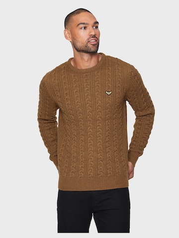 Threadbare Pullover 'Ely' in Braun: predná strana