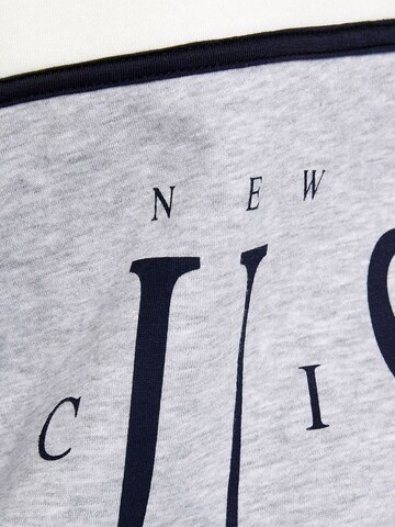 Bershka Sweatshirt in Grey