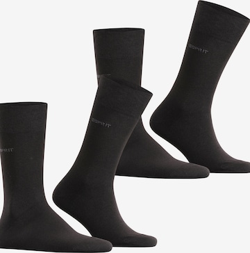 ESPRIT Socks 'Basic Easy 2-Pack' in Black: front