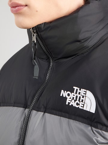 THE NORTH FACE Regular fit Χειμερινό μπουφάν '1996 RTO NUPTSE' σε ασημί