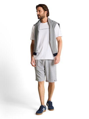 TOM TAILOR - regular Pantalón en gris: frente