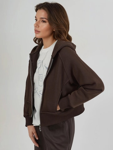 Sweat-shirt 'Kapuzenpullover' Hiccup en marron