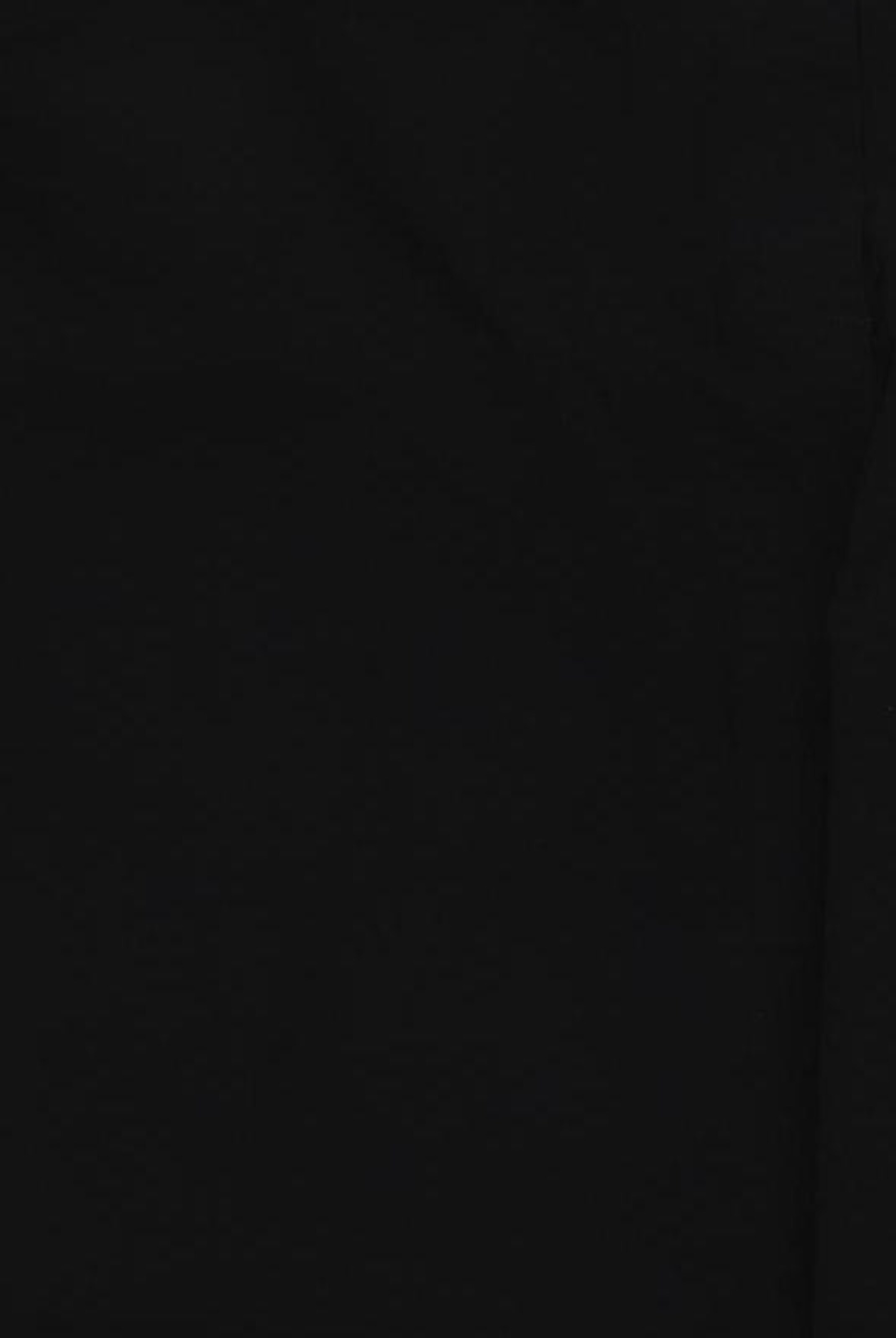 SHEEGO Stoffhose 9XL in Schwarz