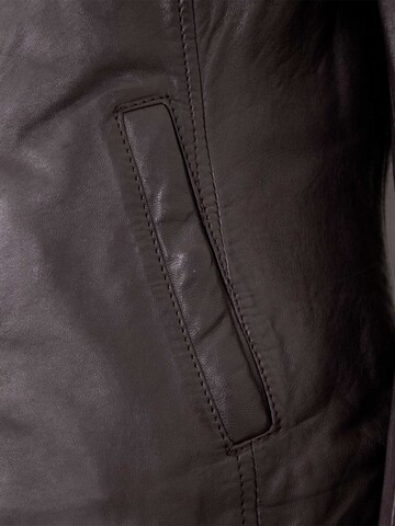 Jilani Tussenjas 'Elodi' in Bruin