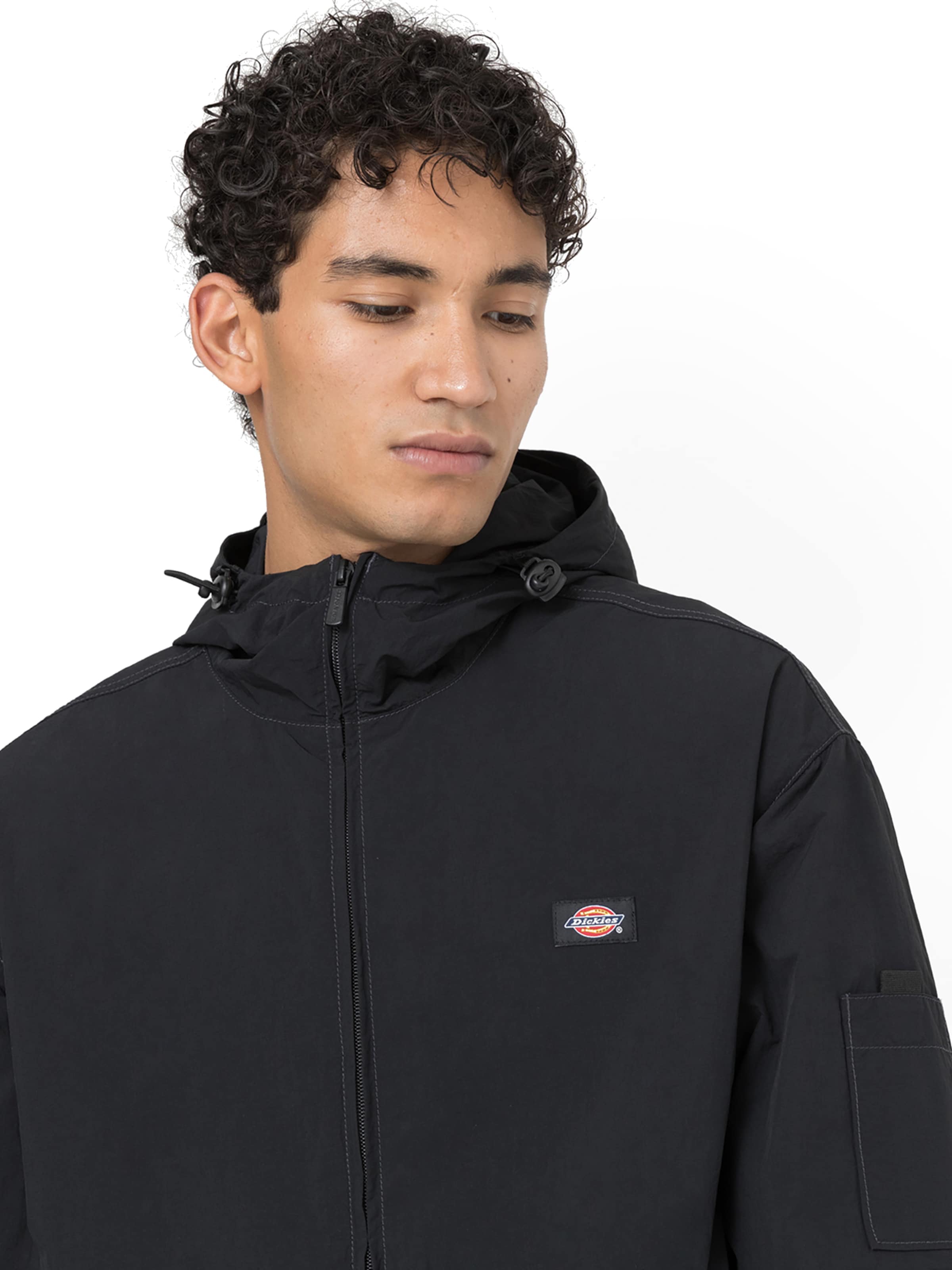 DICKIES Övergångsjacka 'Jackson' i svart