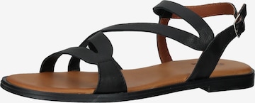 ILC Sandalen met riem in Zwart: voorkant