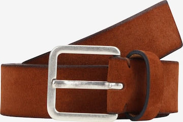 ROYAL REPUBLIQ Belt in Brown: front