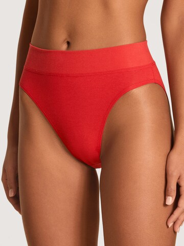 CALIDA Regular Slip in Red: front