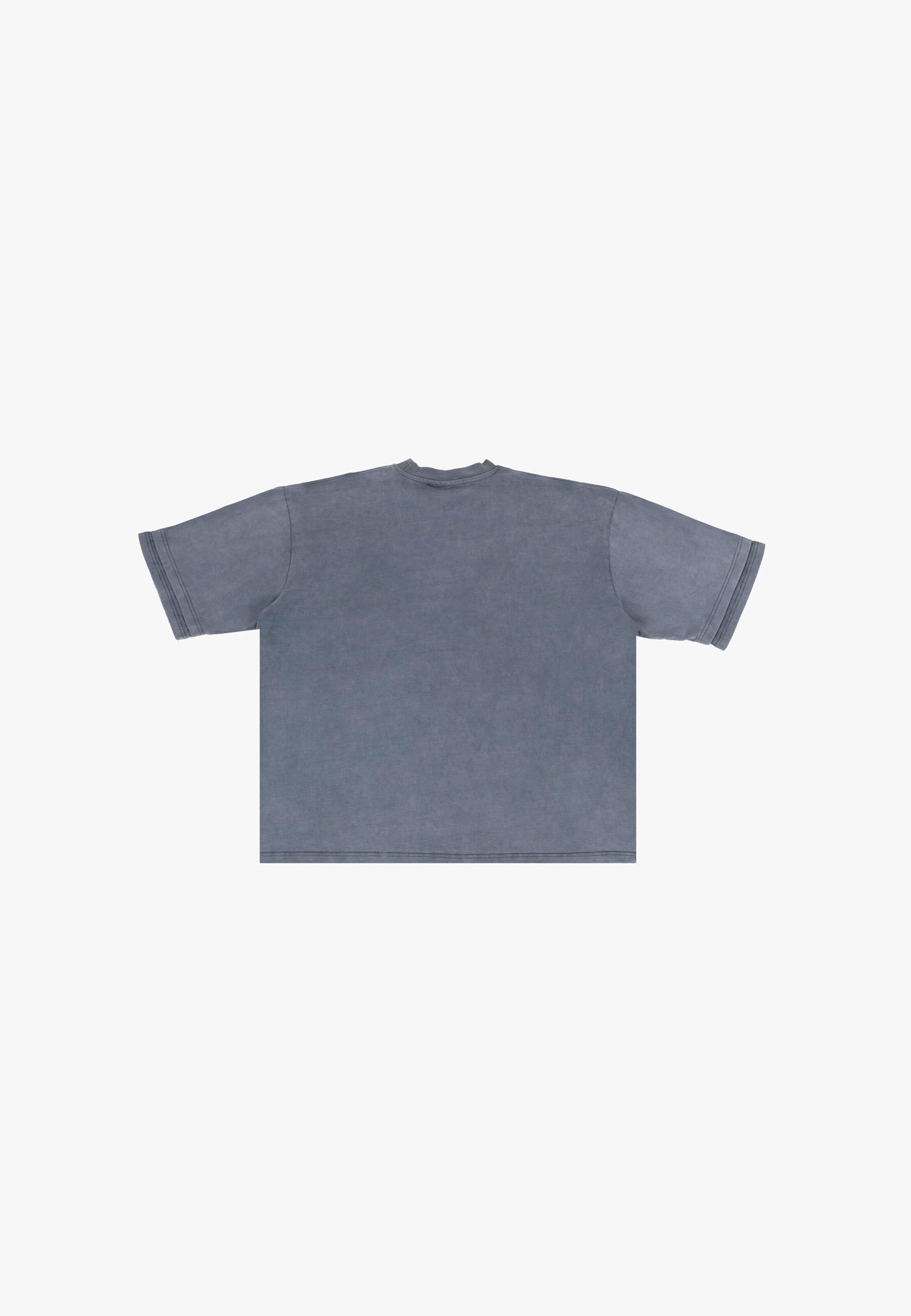 Dropsize T-Shirt in Grau