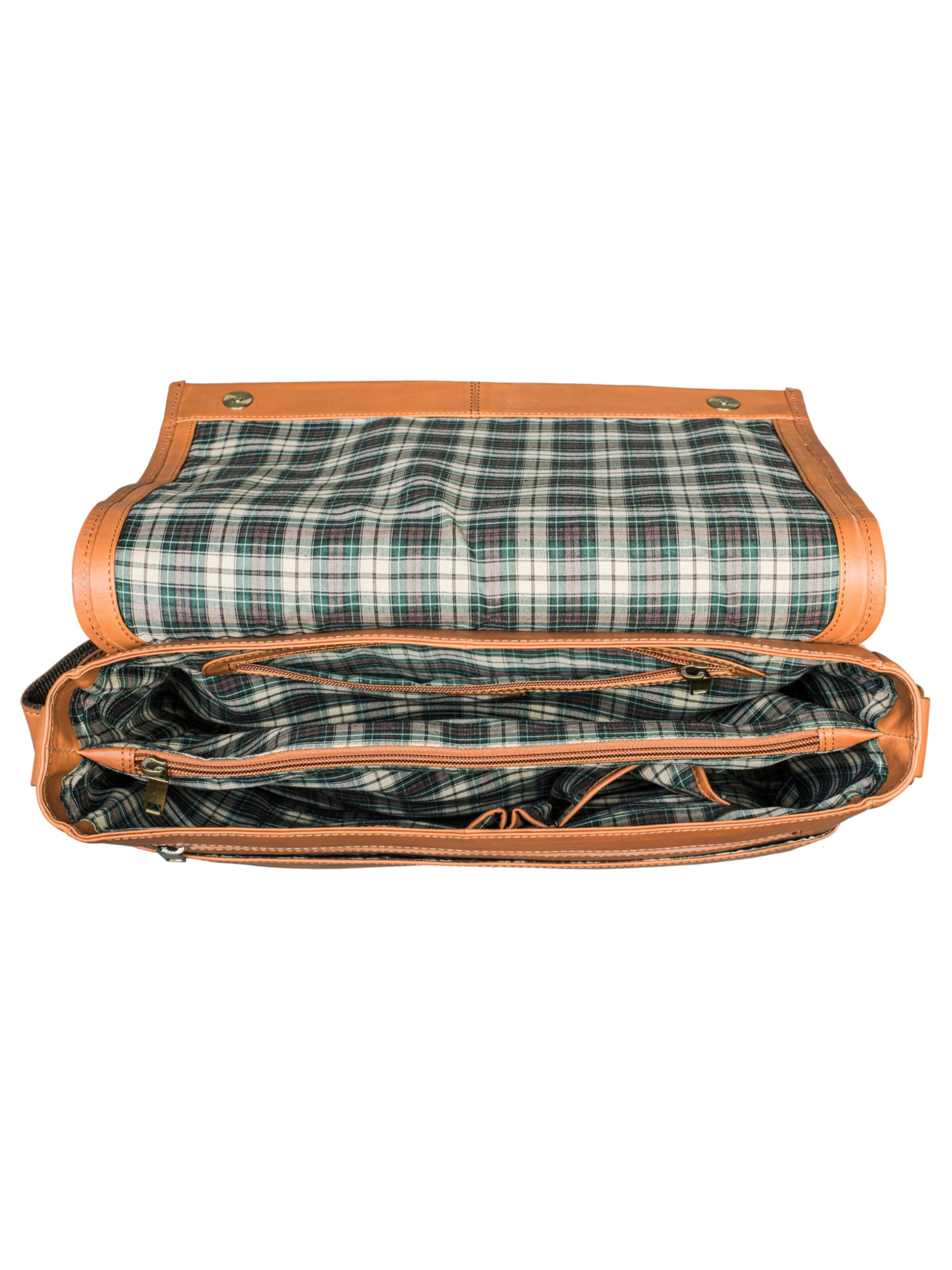 Benthill Messenger‌‌‌‌‌‌‌‌‌‌ in Braun