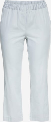 SHEEGO Regular Pants in Grey: front