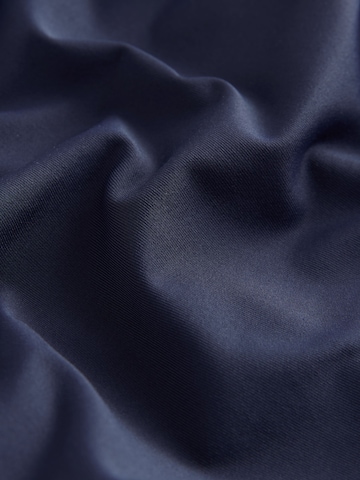 Triangle Maillot de bain Next en bleu