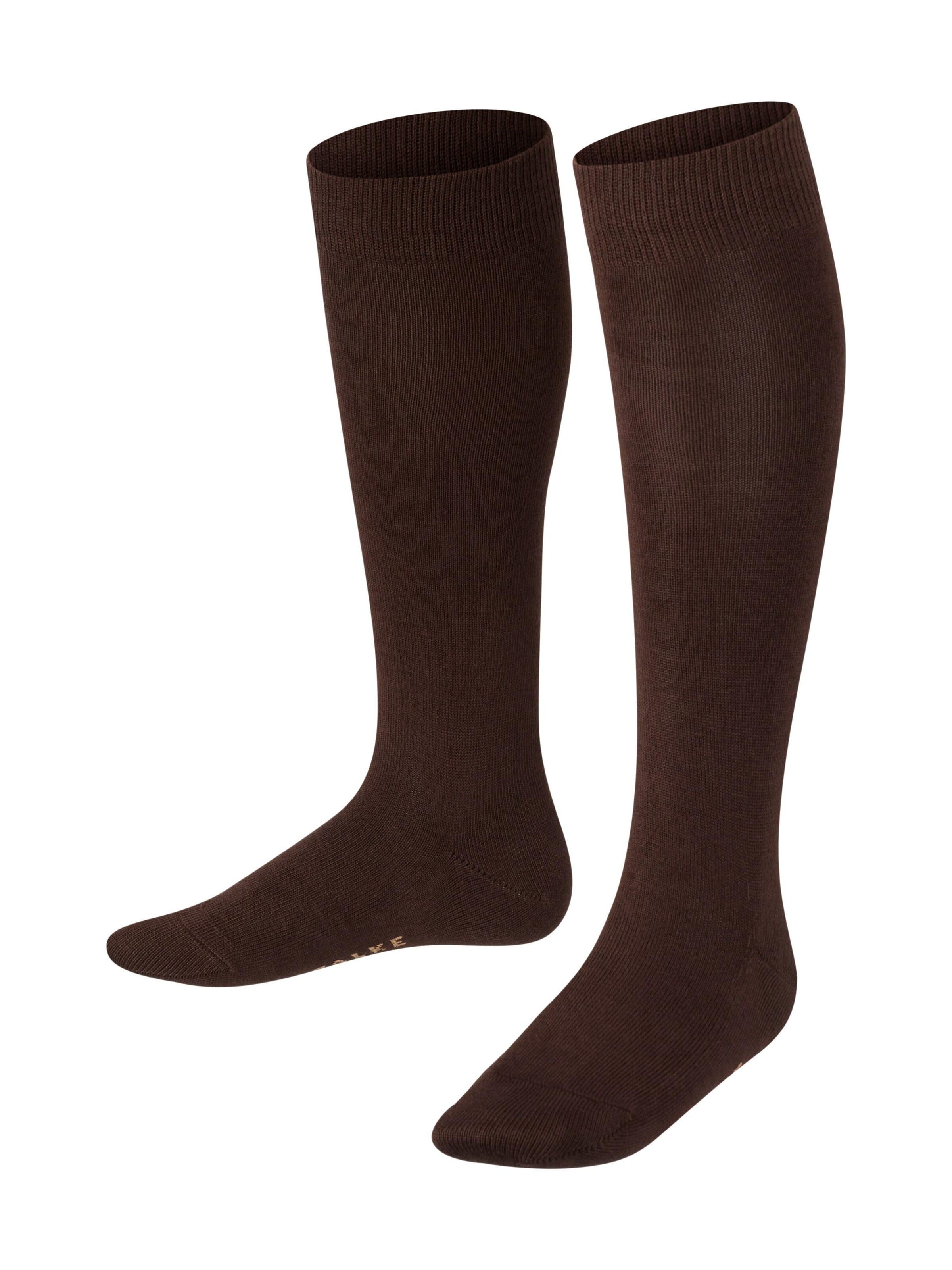 FALKE Socks 'Family' in Brown: front