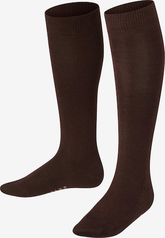 FALKE Socks 'Family' in Brown: front