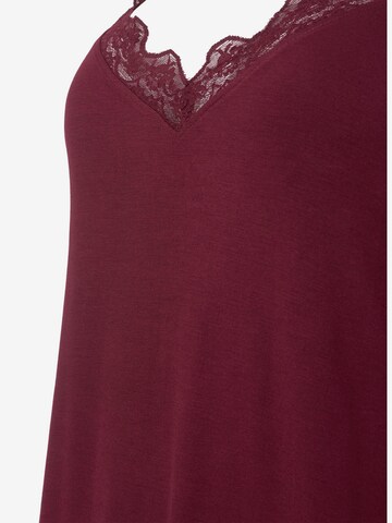 Zizzi - Camisa de noite 'LACE' em vermelho