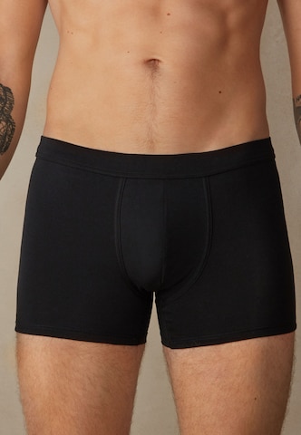 INTIMISSIMI Boxer shorts in Black: front