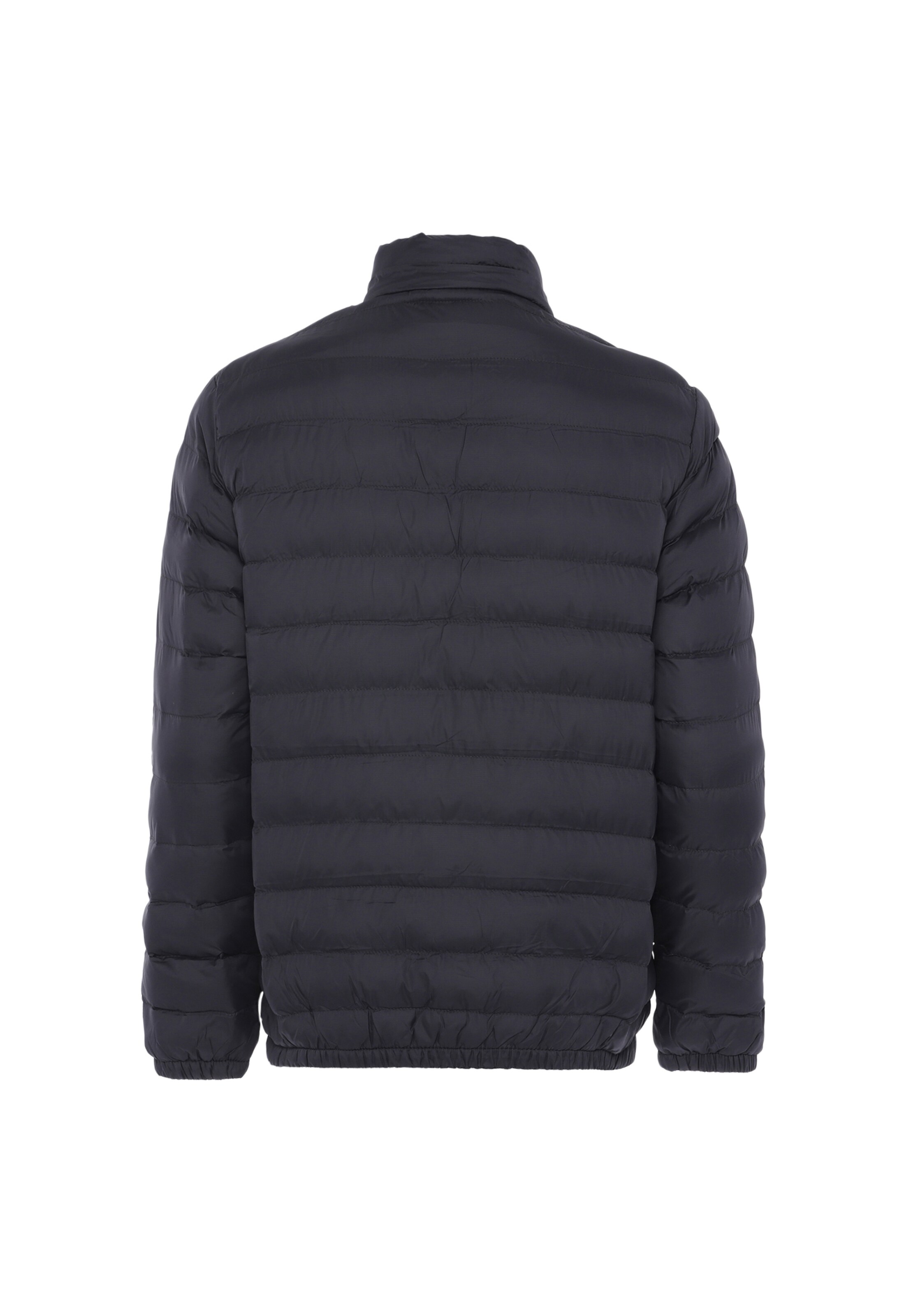 PLUMDALE Winter jacket in Grey