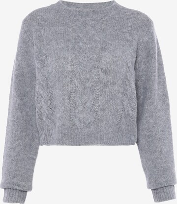 Jalene Sweater in Grey: front