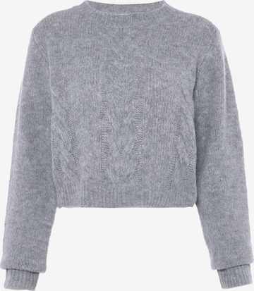 Jalene Pullover in Grau: Vorderseite