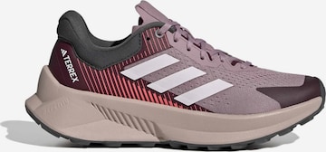 ADIDAS TERREX - Sapatilha de corrida 'SOULSTRIDE FLOW' em roxo: frente