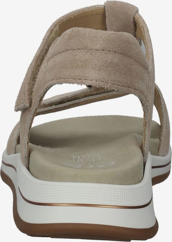 ARA Sandals in Beige