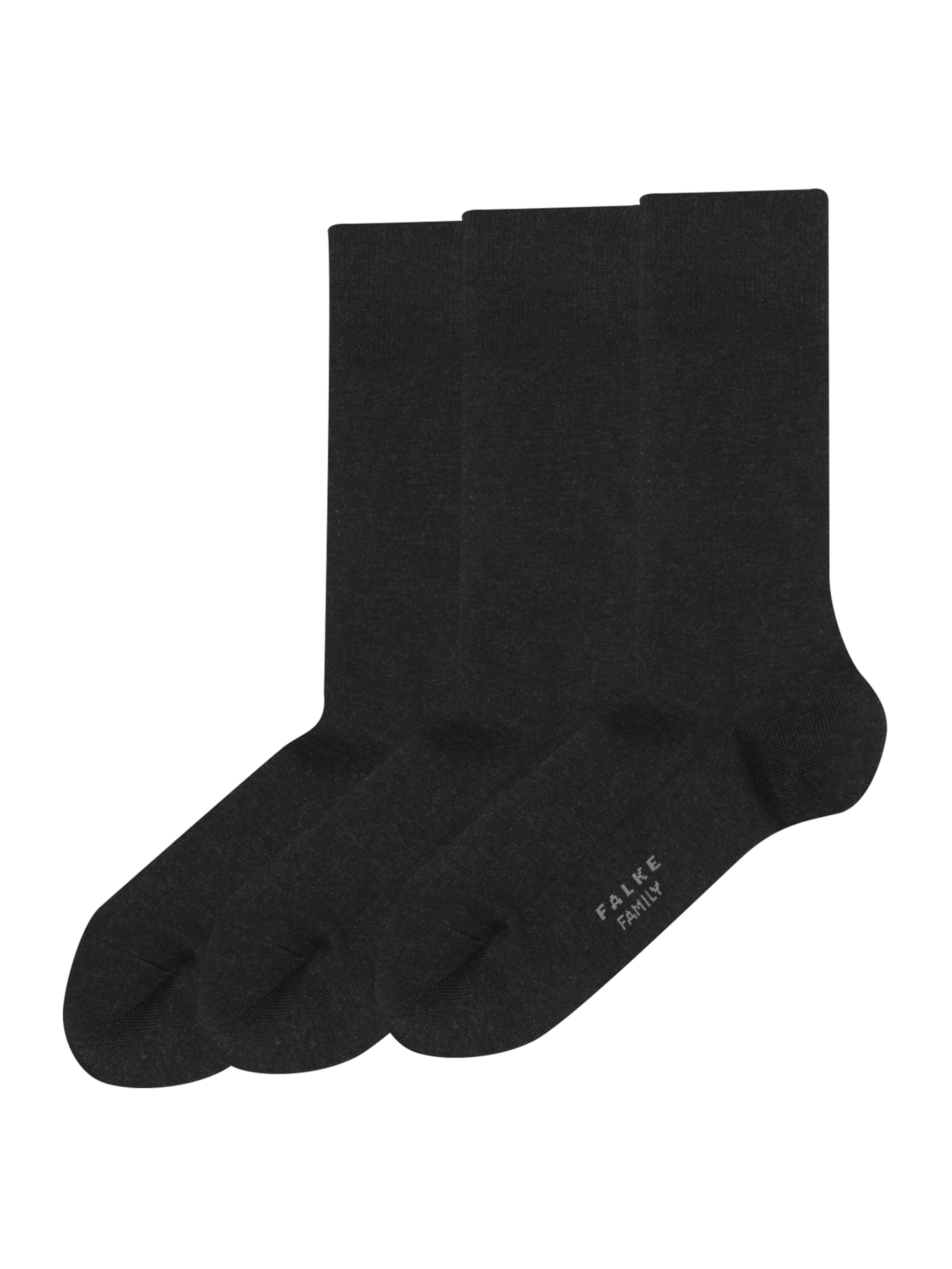FALKE Socks 'Family' in Grey: front