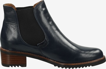 Everybody Chelsea boots in Blauw