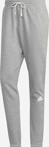 ADIDAS SPORTSWEAR - Regular Calças de desporto 'Fleece' em cinzento: frente