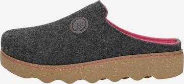 Pantoufle 'Pantoffels Open' ROHDE en gris : devant