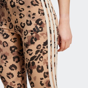 ADIDAS SPORTSWEAR Skinny Sporthose in Braun
