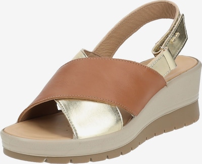 IGI&CO Sandale in karamell / gold, Produktansicht
