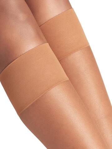 FALKE Overknee Strümpfe 'Shelina'‌ in Braun