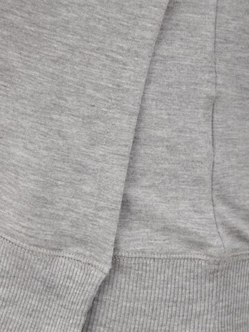 BOOB Sweatshirt in Grau