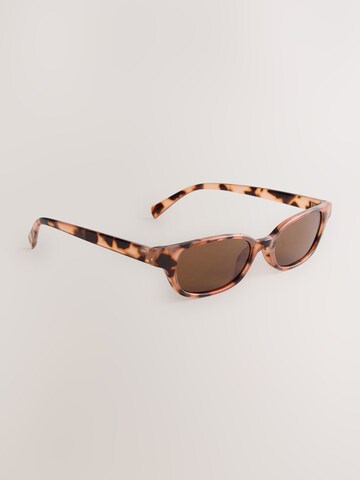 Next Sunglasses in Brown