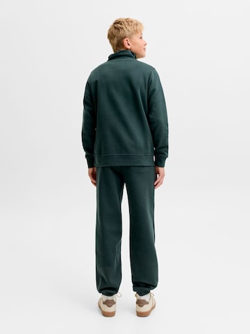 Jack & Jones Junior Tapered Hose 'JPSTKane' in Grün