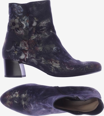 HASSIA Dress Boots in 40,5 in Purple: front