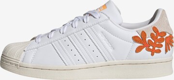 Baskets basses 'Superstar' ADIDAS ORIGINALS en blanc : devant