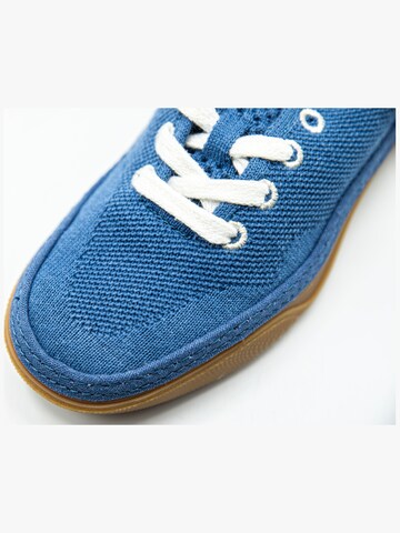 Baskets basses 'Vans Circle Vee' VANS en bleu