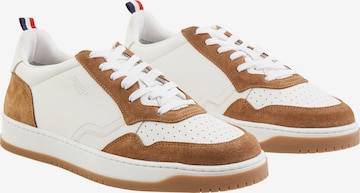 Baskets basses HECHTER PARIS en marron : devant